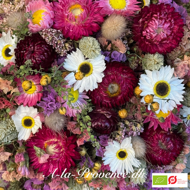 Økologisk evighedsbuket Nora