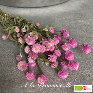 Ungkarleknap Lyserød