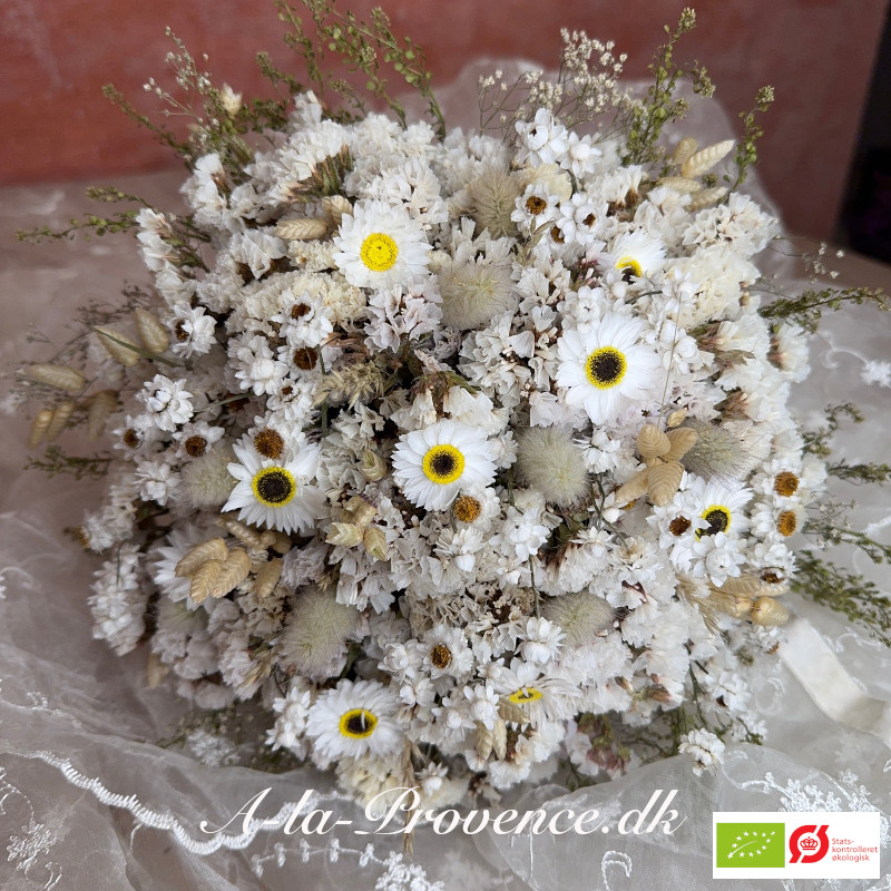 Økologisk evighedsbuket Alisia