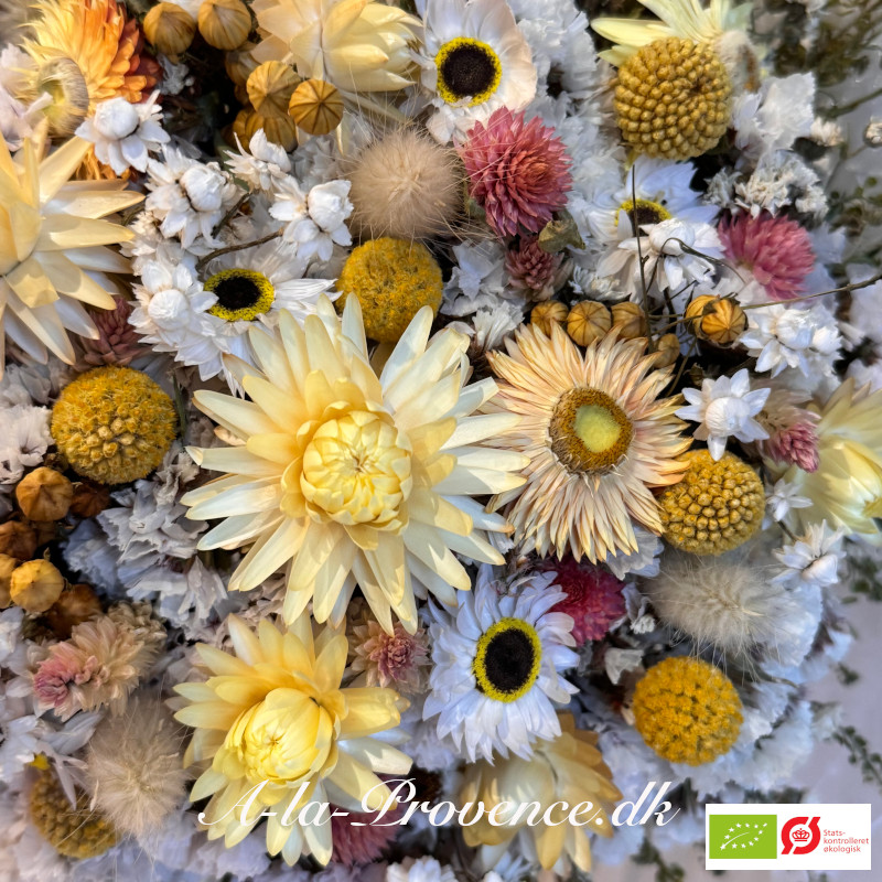 Økologisk evighedsbuket Pierre